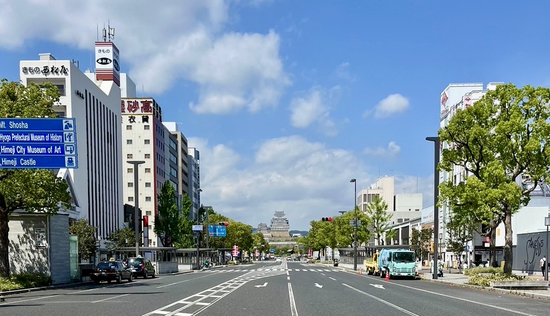 【姫路】VIO脱毛におすすめのメンズ脱毛サロン4選！口コミやアクセスをご紹介